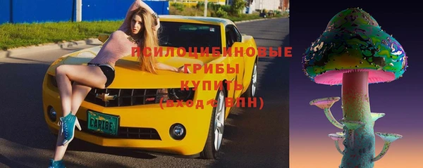 спиды Липки