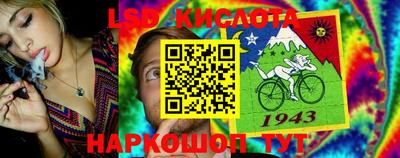 каннабис Дмитров