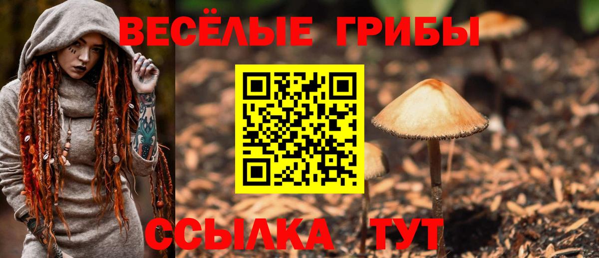 Моршанск  Псилоцибиновые грибы ЛСД  Вход с VPN  Псилоцибиновые грибы мицелий 